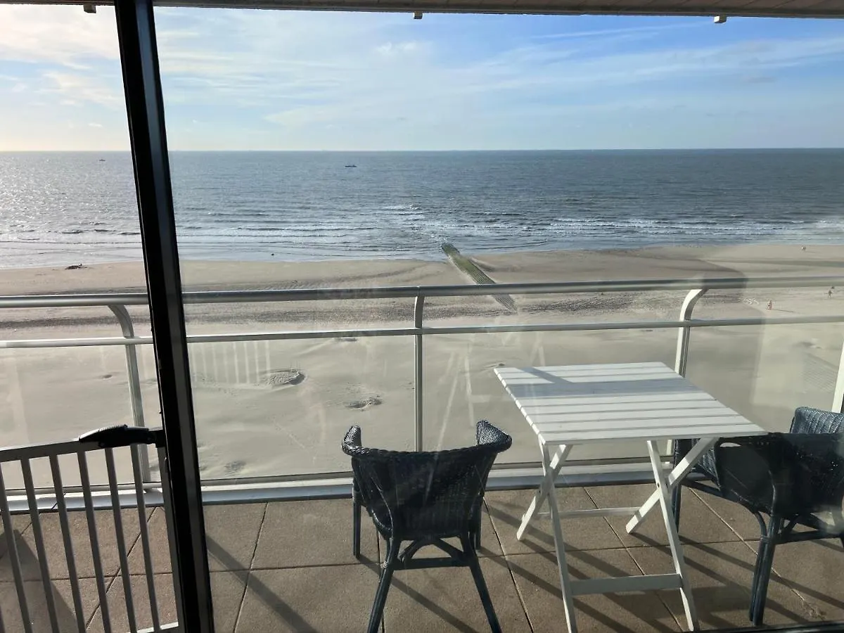 Avelie Studio Middelkerke